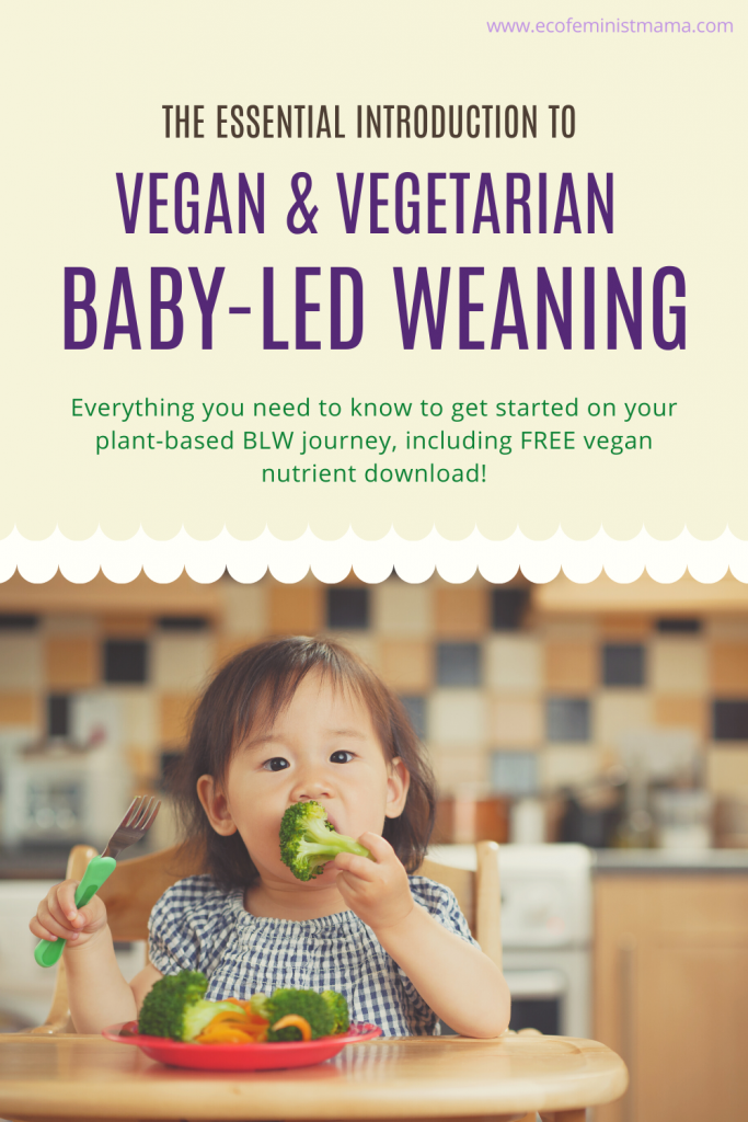 vegan and vegetarian baby led weaning