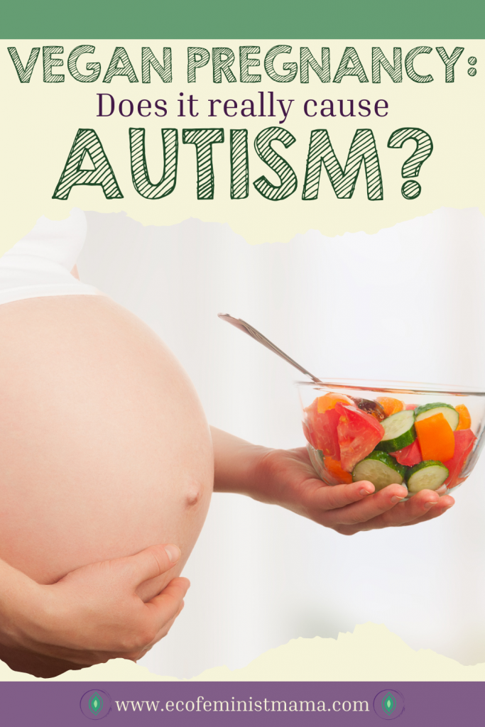 pinterest pin does vegan pregnancy cause autism